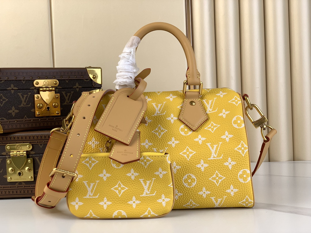 LV SPEEDY BANDOULIÈRE25 M24426